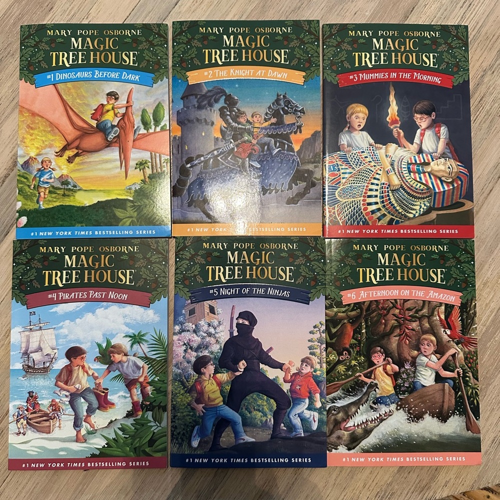 Lot of Magic Treehouse Books #1-6